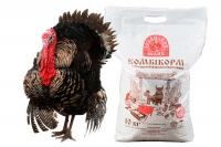 Комбікорм для індиків